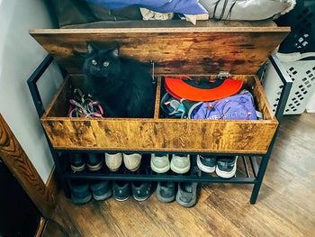 reviewer photo of shoe storage bench with cat inside