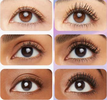 various eyes shown before and after mascara