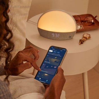 model using iphone app to control hatch