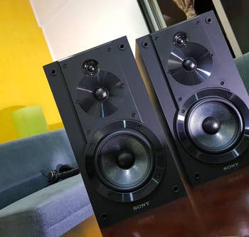 Reviewer image of the black speakers