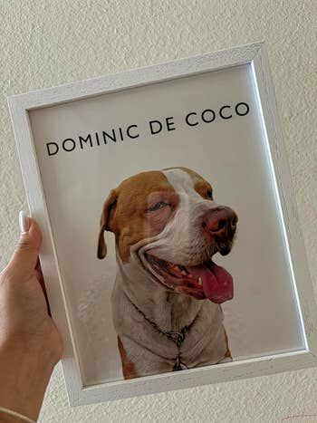 Framed representation    of a canine  with the sanction  