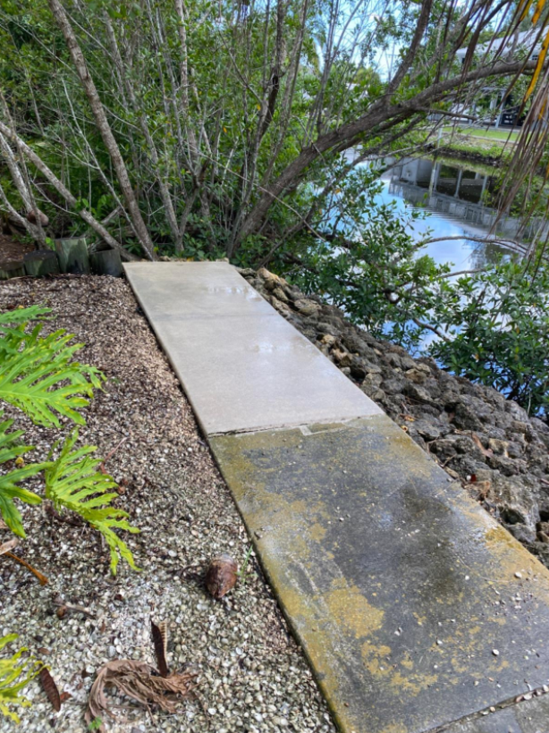moss and dirt covered concrete by river washed clean with product 