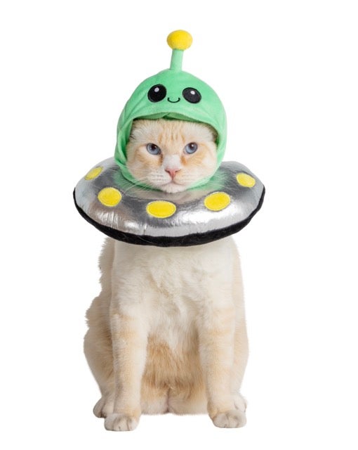 cat in an alien costume