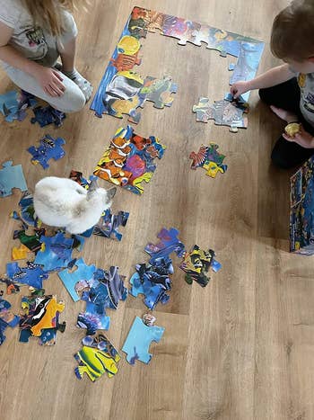 Children assembling a colorful puzzle on the floor with a white cat sitting among the pieces