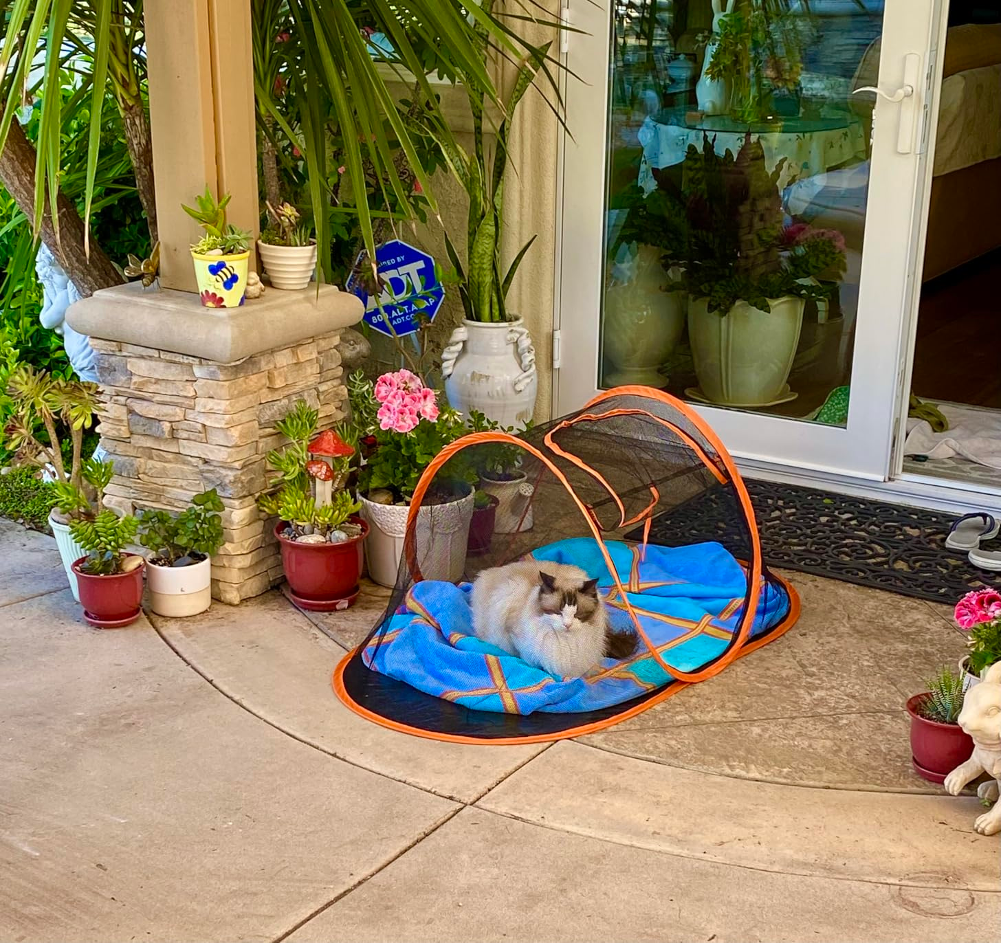 A fluffy feline  lounges successful  an outdoor favored  structure   surrounded by potted plants connected  a patio