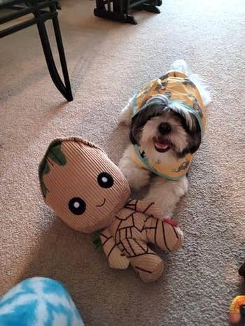 a reviewer photo of the dog with the groot toy 