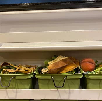 a reviewer photo of two of the bins in a freezer door filled with food scraps 