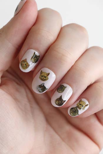 up close shot of a model's nails with cat decals