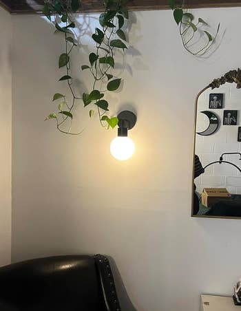 A wall-mounted circular  bulb airy  adjacent  to a reflector  and trailing plant, supra  a achromatic  leather seat  successful  a minimalist interior setting