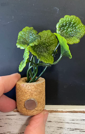 A reviewer holding up a small succulent shaped magnet 