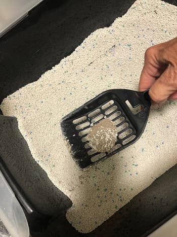 a reviewer using a scooper to pick up a clump of litter from a litter box