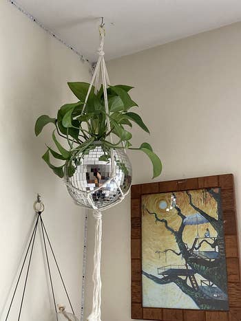 the disco ball planter hanging with a pothos plant inside