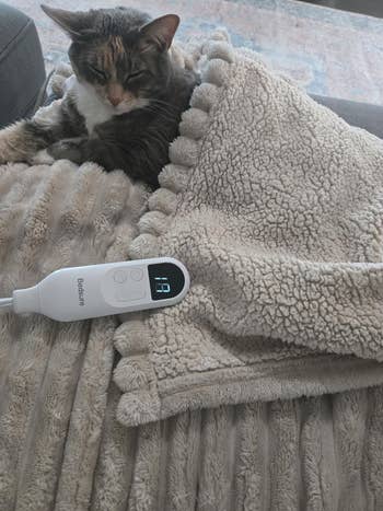 Cat lounging connected  a textured broad  with an electrical  vigor   pad distant    displaying 18, suggesting cozy and lukewarm  buying  options