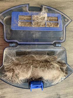another reviewer showing inside of their robot vacuum full of dust and dirt