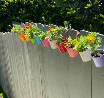 reviewer's colorful pots filled with plants hanging on a fence