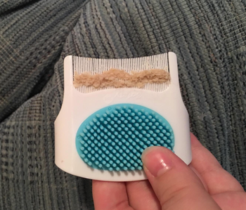 a reviewer photo of remnants of cradle cap on the comb