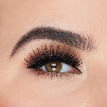 model's eye with long and full lashes placed on eyeline