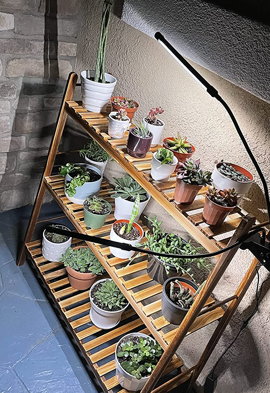 Reviewer's grow lights on plant shelf
