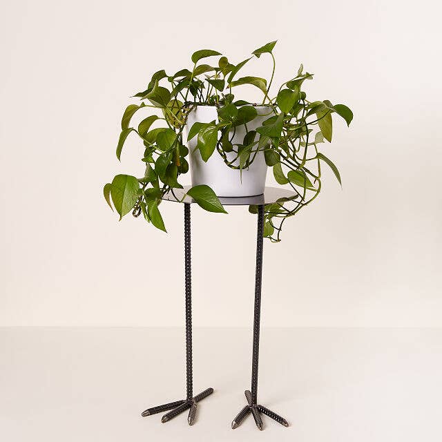 29 Best Plant Stands For Your Green Babies To Grow 2022