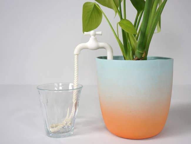 white sink faucet with a rope that goes through it, one half in a glass of water and one half in the soil of a houseplant