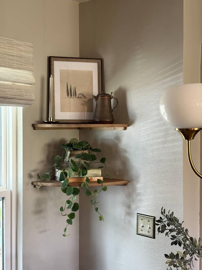 Stylish corner shelving with a plant, books, a framed picture, and a decorative pitcher, creating a cozy, minimalist decor