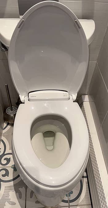 reviewer photo of the toilet seat, not lit up