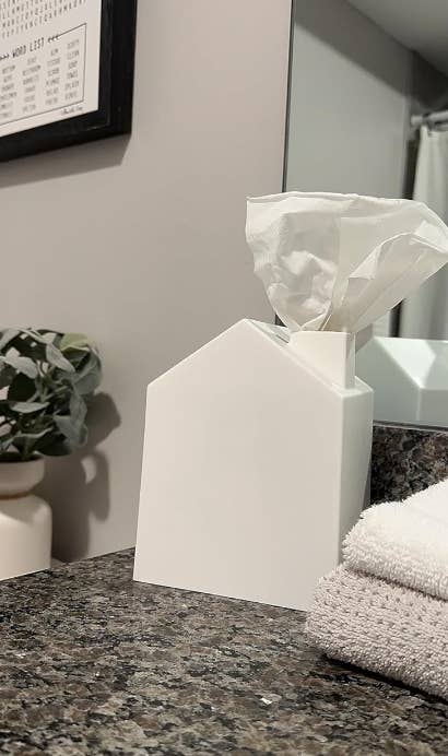 reviewers tissue box cover shaped like a house with the tissue coming out the chimney