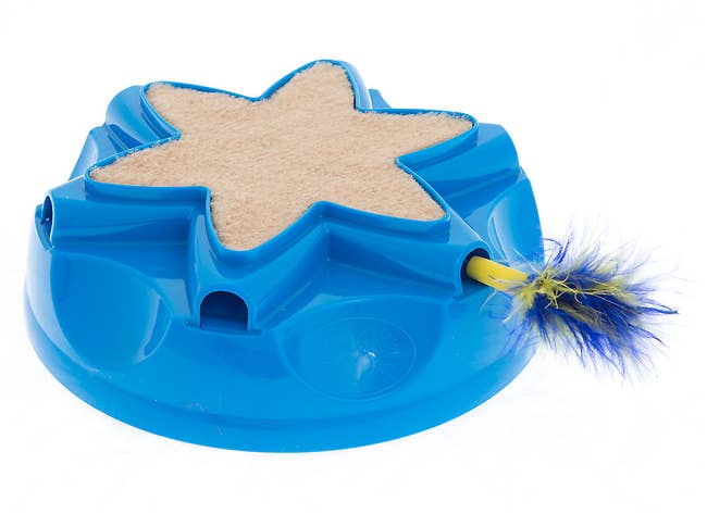A blue plastic contraption with a beige star-shaped carpet surface and a blue and yellow feather on one end of the star's point