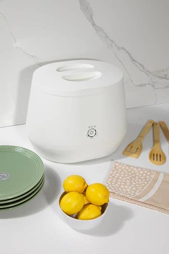 Kitchen counter with a white composter