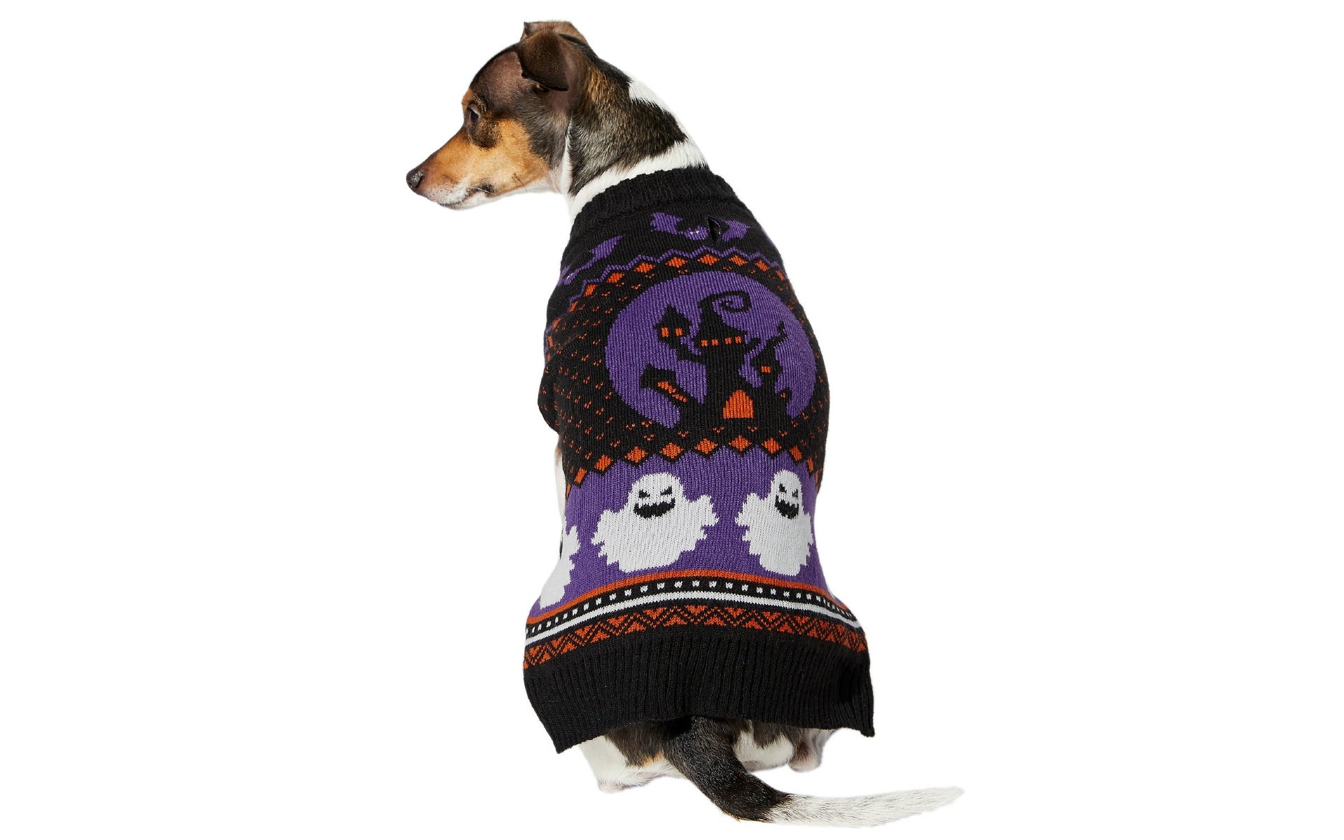 Dog in spooky sweater