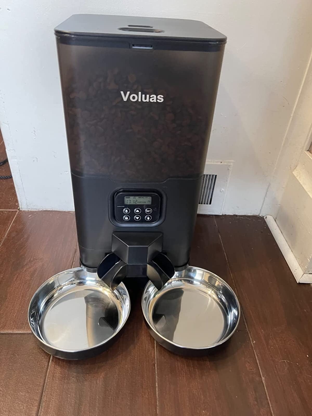 13 Best Automatic Dog Feeders So They Never Miss Dinner