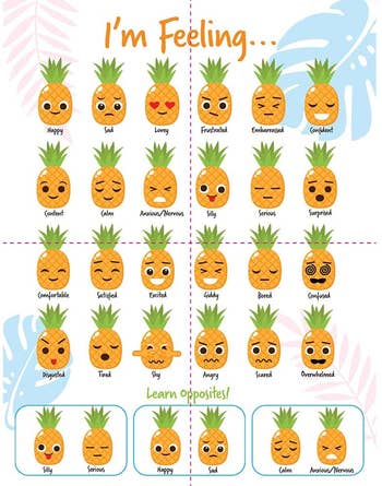 An illustrated chart of the different faces and feelings of a pineapple 