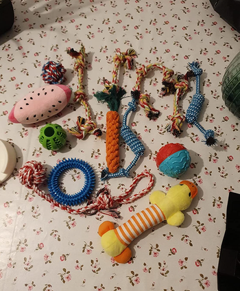 reviewer image of all the dog toys in the pack 