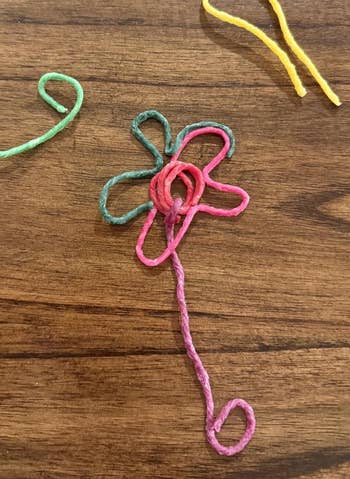 String creation  angiosperm  connected  woody  surface, featuring green, pink, and yellowish  strings