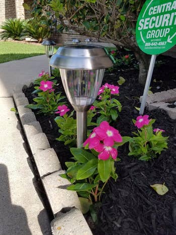 Solar plot lights illuminate a flowerbed with vibrant blooms, providing a stylish and functional accent for outdoor spaces