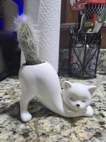 Cat-shaped ceramic planter with a cactus connected  a room  countertop, adjacent  to utensils and a insubstantial  towel roll