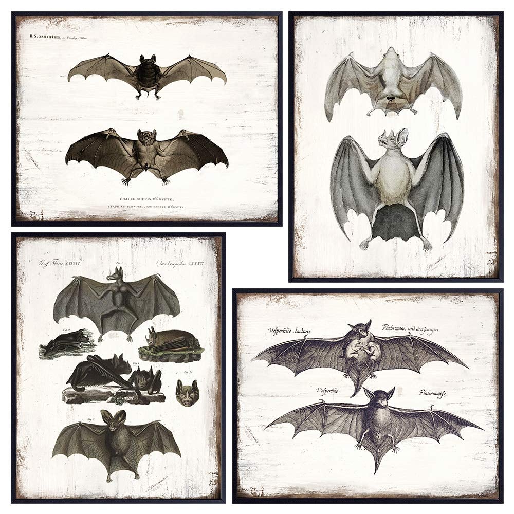 various antique looking prints of bats
