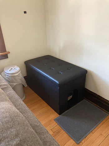 The outside of the litter box