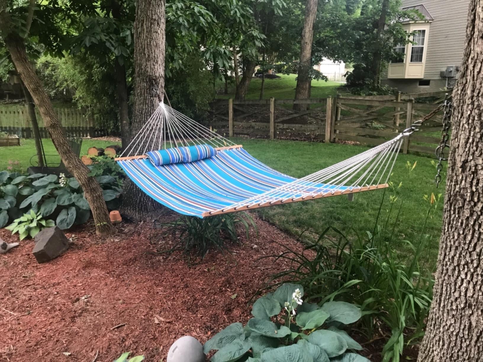 double hammock strung up between two trees in a yard