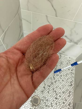 clump of hair caught on the drain