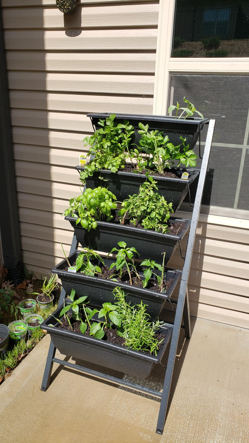 A tiered vertical garden stands outside a building, displaying various healthy herb plants, perfect for compact and efficient gardening