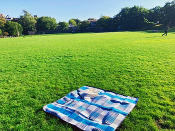 reviewer photo of blue plaid blanket on field of grass