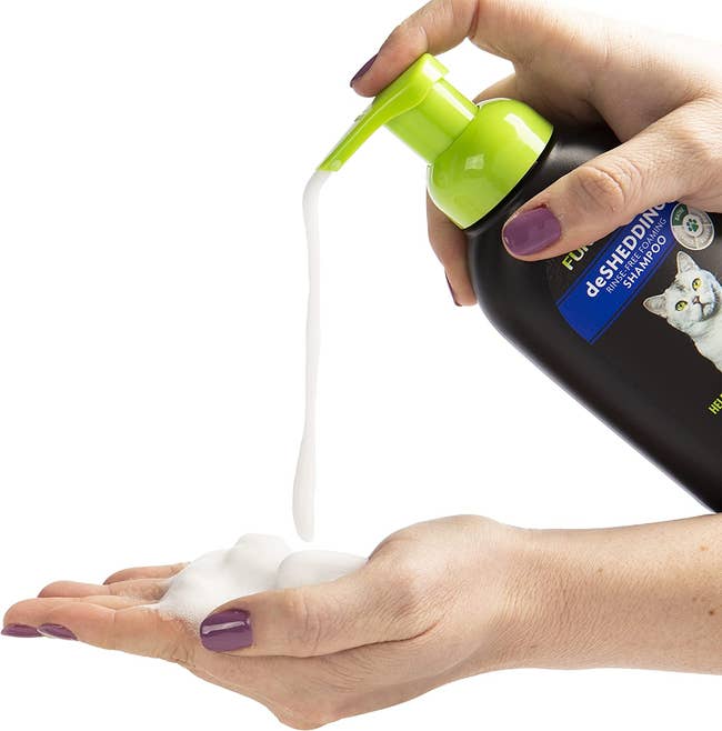 model pumping the foaming shampoo into their hand