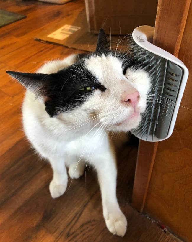 a photo of a reviewer's cat rubbing its face against the self groomer