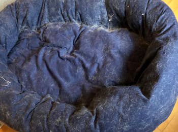 a pet bed covered with fur