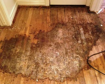A reviewer's stained wooden floor