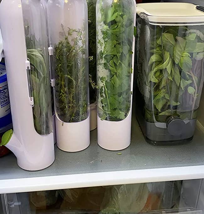 Three pods in fridge filled with different herbs