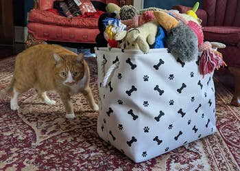 reviewer photo of ginger kitty next to fabric bin full of pet toys