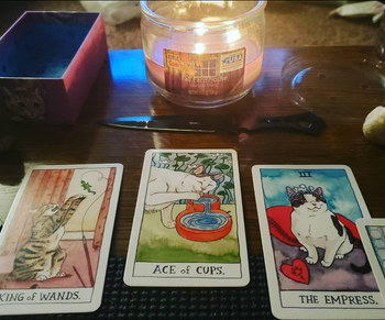 three of the illustrated cards laid out for a reading 