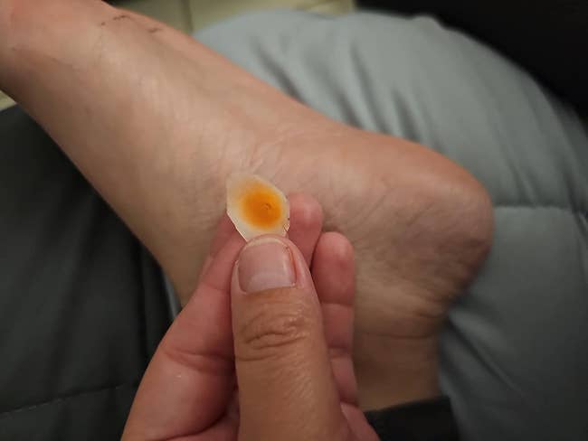 A close-up of a person's manus  holding a tiny  removed maize  successful  beforehand   of their foot